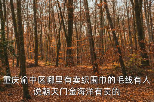 重慶市朝天門金海洋裝飾城，重慶朝天門金海洋有哪些設施