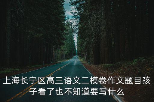 上海長寧區高三語文二模卷作文題目孩子看了也不知道要寫什么