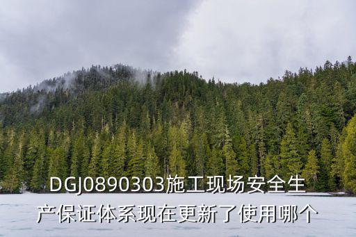 上海市安全保證體系，什么是安全保證體系