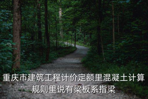 重慶市結(jié)構(gòu)板計(jì)容，在重慶08定額中什么構(gòu)件需要套有梁板具體依據(jù)是什么