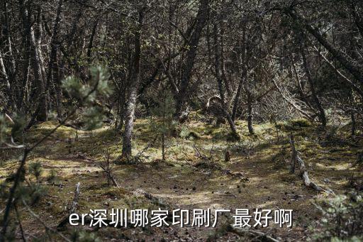 er深圳哪家印刷廠最好啊