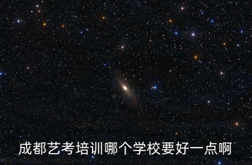 成都藝考培訓哪個學校要好一點啊