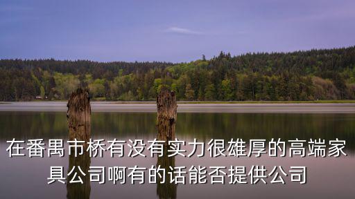 在番禺市橋有沒有實力很雄厚的高端家具公司啊有的話能否提供公司