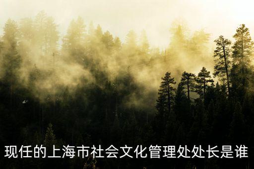 現(xiàn)任上海市文化局局長，上海市文化局局長是誰