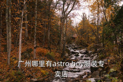 廣州哪里有astro boy服裝專賣店
