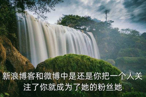 新浪博客和微博中是還是你把一個人關注了你就成為了她的粉絲她