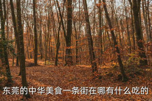 東莞的中華美食一條街在哪有什么吃的