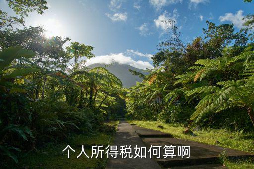 個人所得稅如何算啊