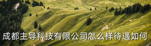 成都主導(dǎo)科技有限公司怎么樣待遇如何