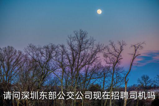 請問深圳東部公交公司現在招聘司機嗎