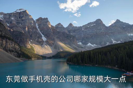 東莞做手機殼的公司哪家規模大一點