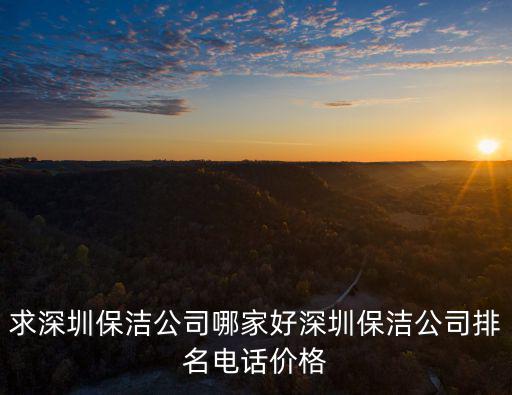 求深圳保潔公司哪家好深圳保潔公司排名電話價格