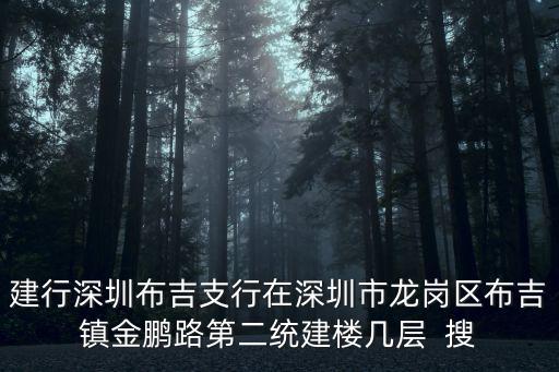 建行深圳布吉支行在深圳市龍崗區(qū)布吉鎮(zhèn)金鵬路第二統(tǒng)建樓幾層  搜