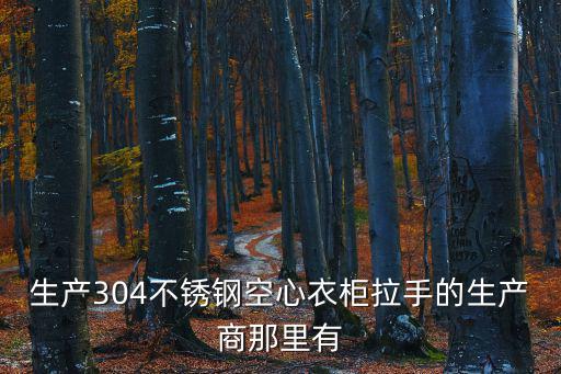 生產(chǎn)304不銹鋼空心衣柜拉手的生產(chǎn)商那里有