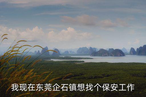東莞企石 新塘老圍 出租，東莞企石有手工活加工么