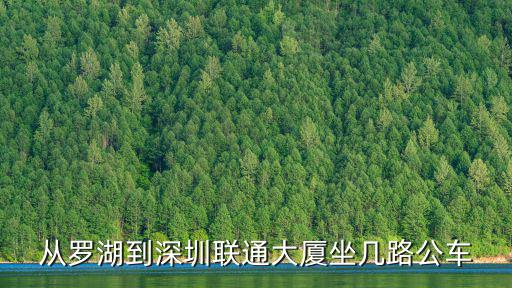 從羅湖到深圳聯通大廈坐幾路公車