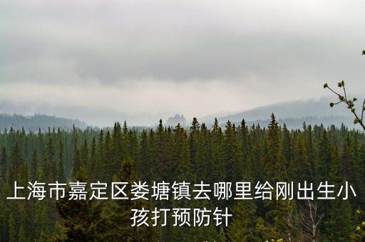上海市嘉定區婁塘鎮去哪里給剛出生小孩打預防針