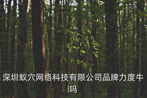 深圳蟻穴網絡科技有限公司品牌力度牛嗎