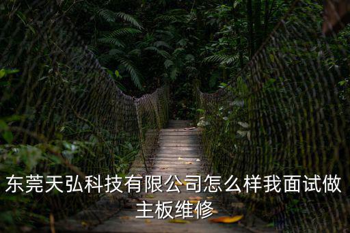 天弘東莞科技有限公司怎么樣，天弘東莞科技公司怎么樣技術員底薪大概多少一個月工資大概多少
