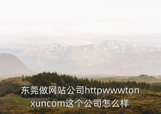 東莞做網(wǎng)站公司httpwwwtonxuncom這個(gè)公司怎么樣