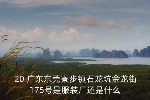  20 廣東東莞寮步鎮(zhèn)石龍坑金龍街175號是服裝廠還是什么