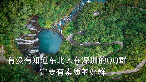 有沒(méi)有知道東北人在深圳的QQ群 一定要有素質(zhì)的好群