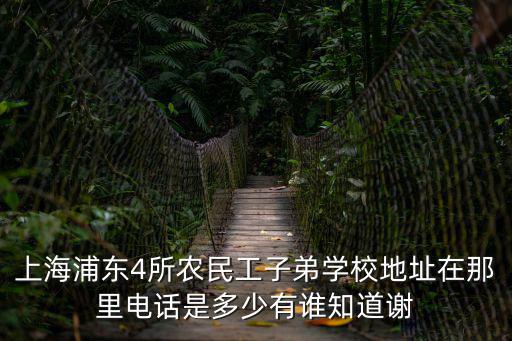 上海浦東4所農民工子弟學校地址在那里電話是多少有誰知道謝