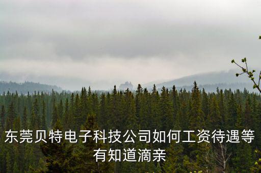 東莞貝特電子科技公司如何工資待遇等有知道滴親