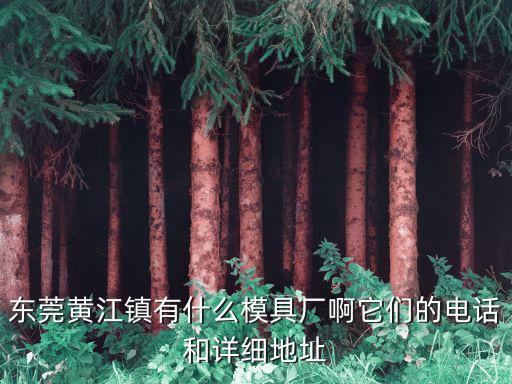 東莞黃江鎮有什么模具廠啊它們的電話和詳細地址
