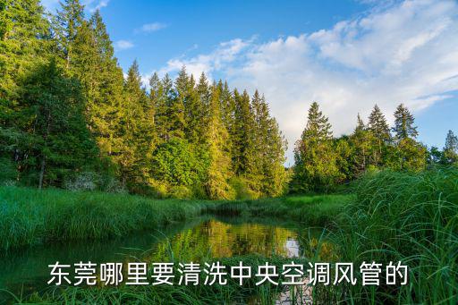 東莞哪里要清洗中央空調風管的