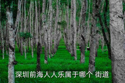 深圳前海人人樂屬于哪個(gè) 街道