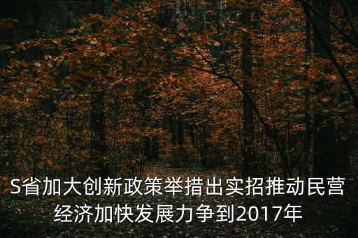 S省加大創新政策舉措出實招推動民營經濟加快發展力爭到2017年