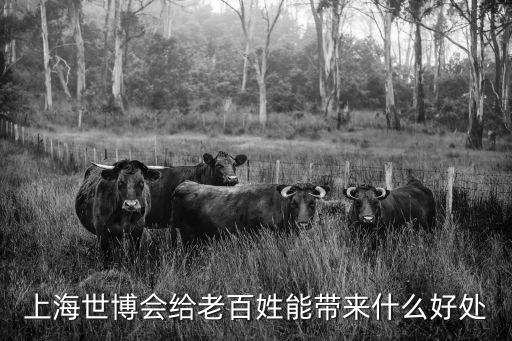 上海市民的優勢，辦上海市長期居住證有什么好處