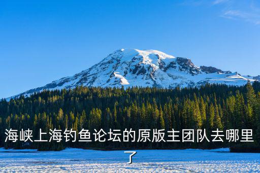 上海市釣魚百姓論壇，海峽上海釣魚論壇的原版主團隊去哪里了