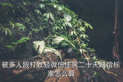 被多人毆打致輕微傷住院二十天賠償標(biāo)準(zhǔn)怎么算