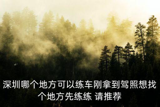 深圳哪個地方可以練車剛拿到駕照想找個地方先練練 請推薦