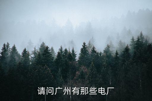 請問廣州有那些電廠