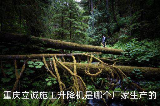 重慶立誠施工升降機是哪個廠家生產的