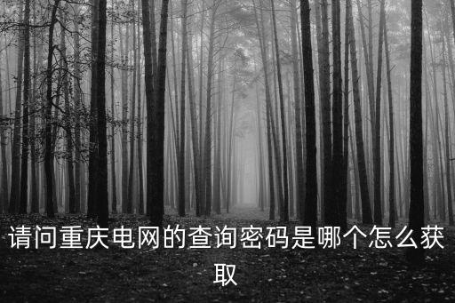 請問重慶電網(wǎng)的查詢密碼是哪個怎么獲取