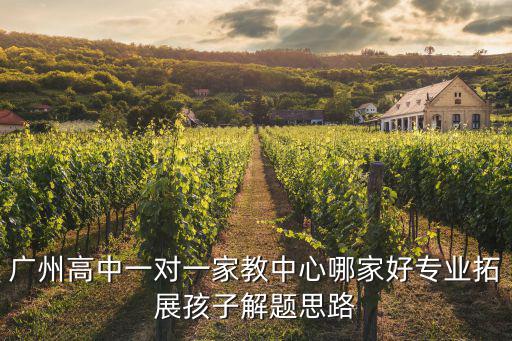 廣州高中一對一家教中心哪家好專業(yè)拓展孩子解題思路