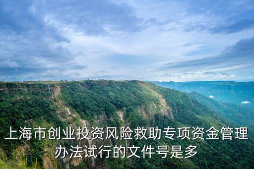 上海市創業投資風險救助專項資金管理辦法試行的文件號是多