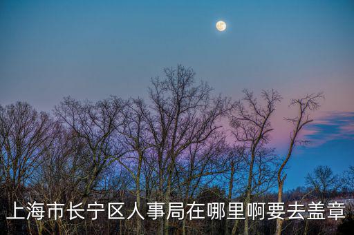 上海市長(zhǎng)寧區(qū)人事局在哪里啊要去蓋章