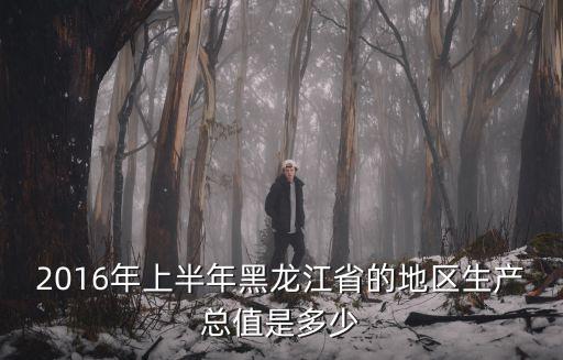 重慶市2016年上半年經濟增長，2016年上半年黑龍江省的地區生產總值是多少