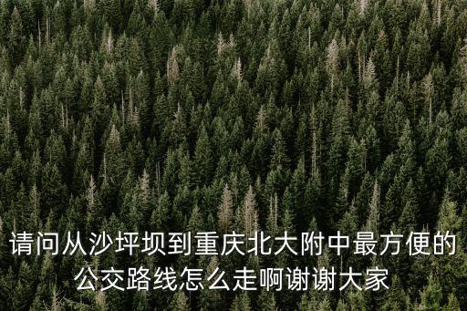 請(qǐng)問(wèn)從沙坪壩到重慶北大附中最方便的公交路線怎么走啊謝謝大家