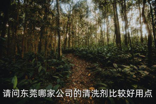 請(qǐng)問(wèn)東莞哪家公司的清洗劑比較好用點(diǎn)