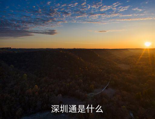 深圳通是什么