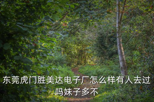 東莞妹妹門，東莞虎門勝美達電子廠怎么樣有人去過嗎妹子多不