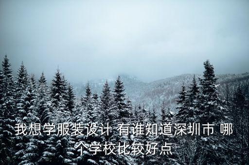 我想學服裝設計 有誰知道深圳市 哪個學校比較好點