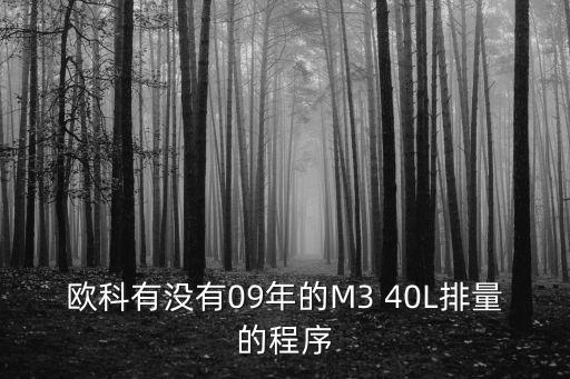 歐科有沒有09年的M3 40L排量的程序