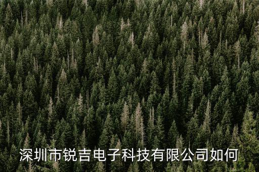 深圳市銳吉電子科技有限公司如何